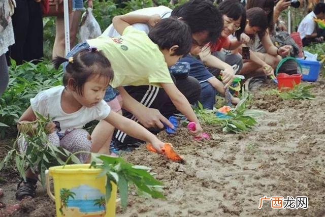 大学生物联网小项目,物联网创新创业
