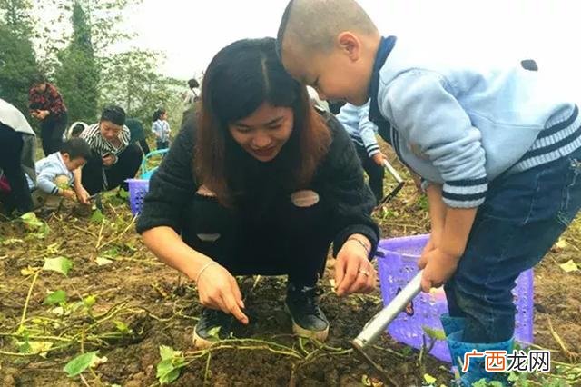 大学生物联网小项目,物联网创新创业