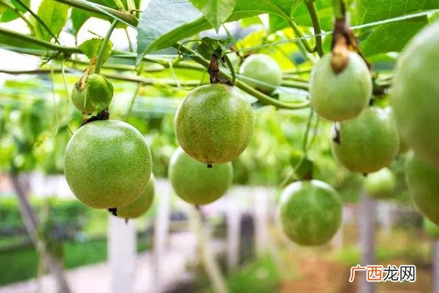 大学生物联网小项目,物联网创新创业