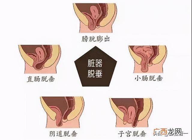 传统体育养生的功能,传统体育养生项目有哪些