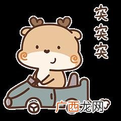 大学生创业计划书模板 it创业协会会员申请表