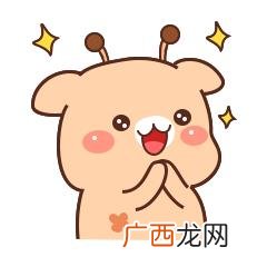大学生创业计划书模板 it创业协会会员申请表