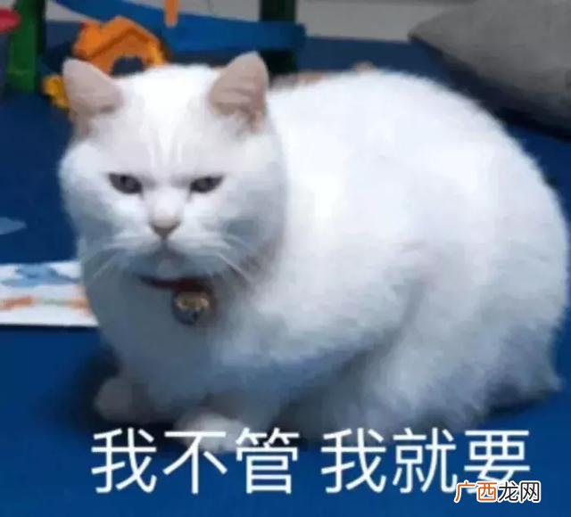 jk实体店怎么开 关于jk制服的创业计划书