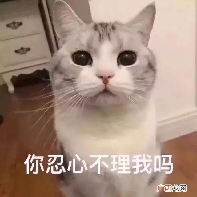 jk实体店怎么开 关于jk制服的创业计划书