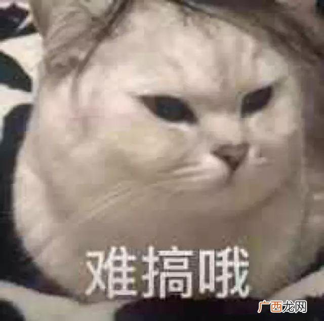 jk实体店怎么开 关于jk制服的创业计划书