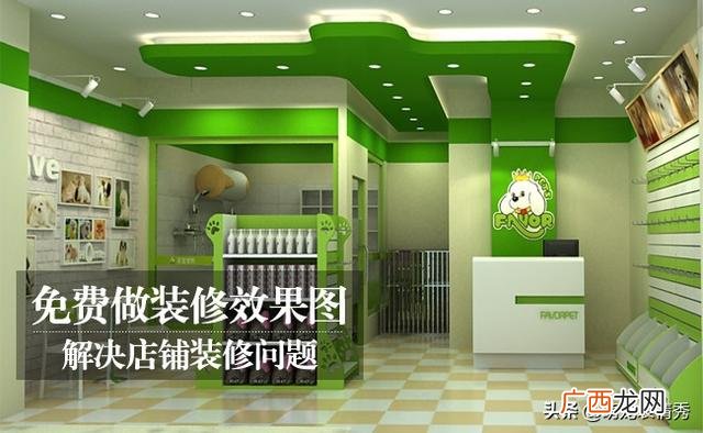 五万以下小额投资项目,创业开宠物店怎么样