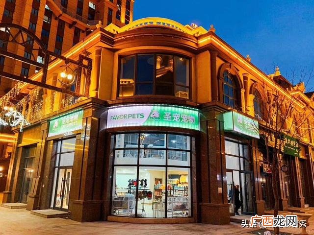 五万以下小额投资项目,创业开宠物店怎么样