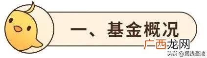 118001基金净值查询,易方达今天最新净值查询
