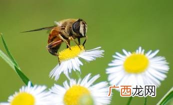在职考研怎么考 自考本科考什么科目