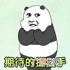 天弘中证医药100指数c 创业板股票基金今日净值
