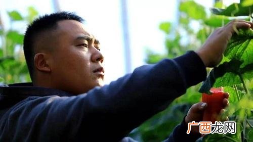 大棚挣钱吗,创业种大棚可以吗