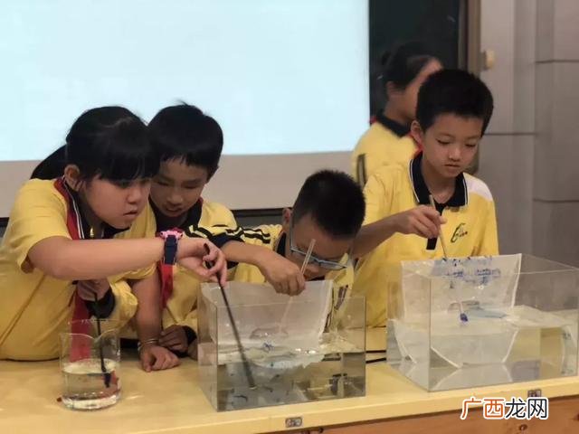 取个袋项目是骗局吗 环保袋自动取袋机加盟靠谱吗