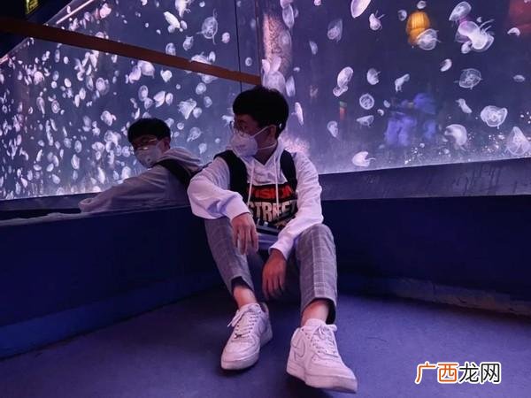 北京科技大学官网,北京科技大学校友创业项目