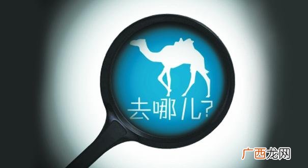 创业励志网名大全 创业者的微信名字
