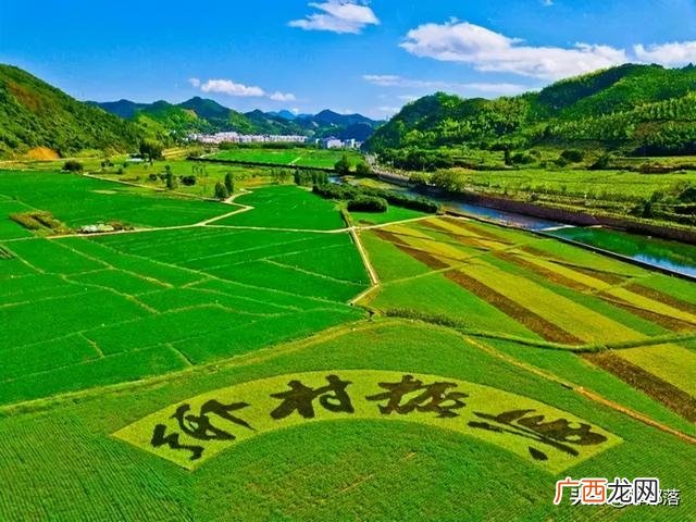 农民最新创业好项目,农村创业最好的项目是什么