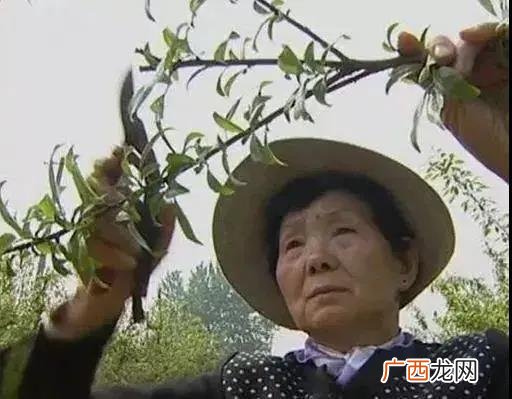 出狱后创业成功的案例,出狱后创业的老太太