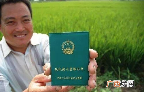 创业能干的项目 目前最好的创业项目