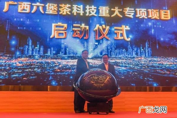 创业计划书2000字,六堡茶创业计划书范文