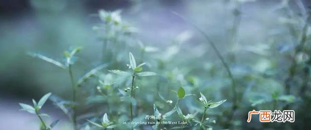 京剧水袖手绘图片,国风戏曲手绘