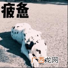 南昌租房一室一厅 南昌厂房出租