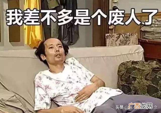 关于熊猫的资料 创业失败案例熊猫直播