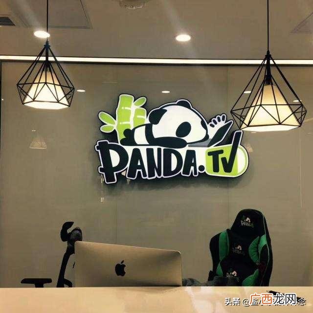 关于熊猫的资料 创业失败案例熊猫直播