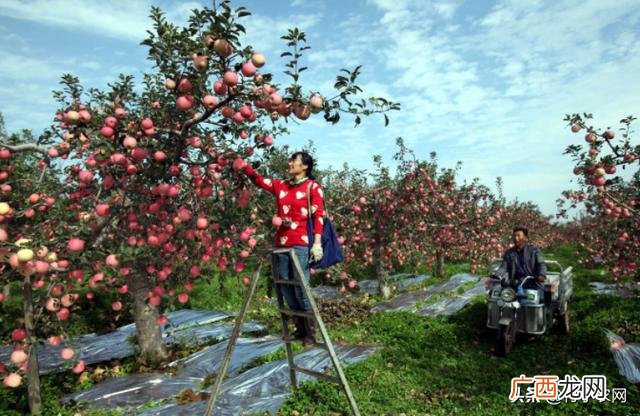 农村最缺什么生意,2021年做什么生意投资小利润高