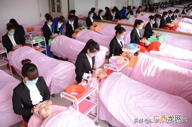 女娃娃学什么技术好,带娃娃创业可以学些什么专业