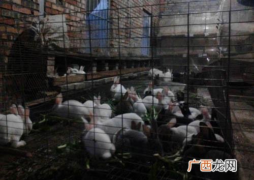 50个适合乡镇做的生意 2020年适合做什么小生意