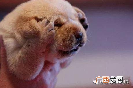 匈牙利买房移民新政策 匈牙利创业项目