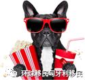 匈牙利买房移民新政策 匈牙利创业项目