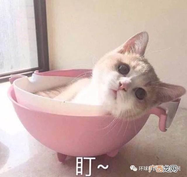 匈牙利买房移民新政策 匈牙利创业项目