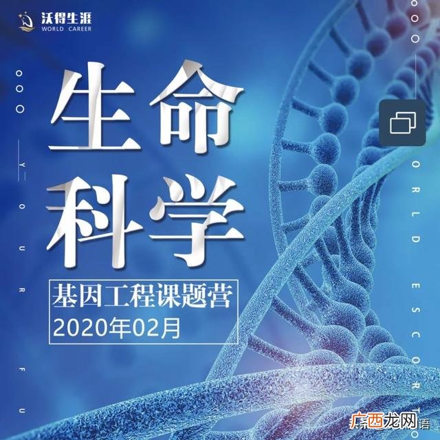 南科大python认证,python认证考试有哪些