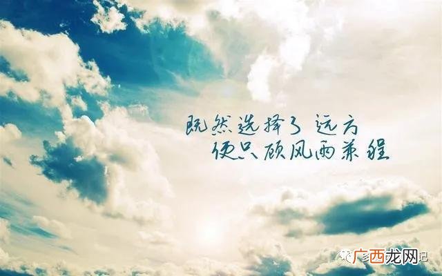 创业的辛酸路程,创业者的艰辛和心酸