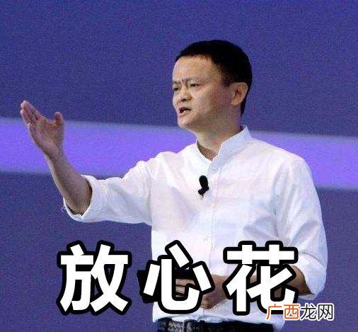 上分期会员费,商盟创业投资2500会员费