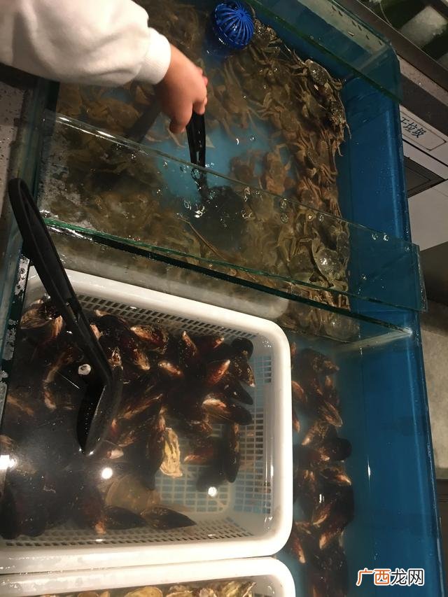 13元自助餐利润多少 12元自助快餐利润