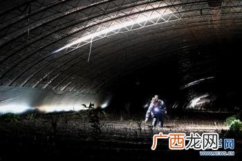 一个养兔子的美业人,残疾人养兔创业视频
