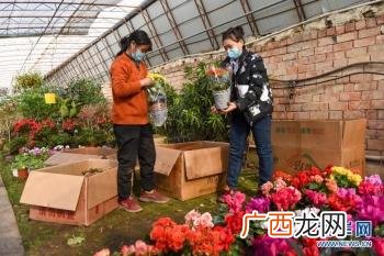 一个养兔子的美业人,残疾人养兔创业视频