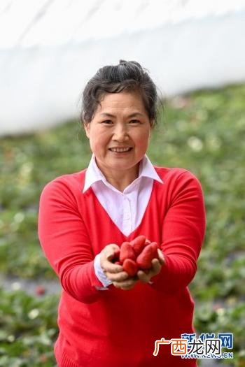 一个养兔子的美业人,残疾人养兔创业视频