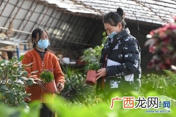 一个养兔子的美业人,残疾人养兔创业视频
