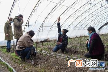 一个养兔子的美业人,残疾人养兔创业视频