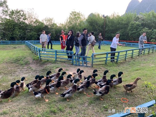 刘三姐阿牛哥对歌图片 歌手阿牛哥