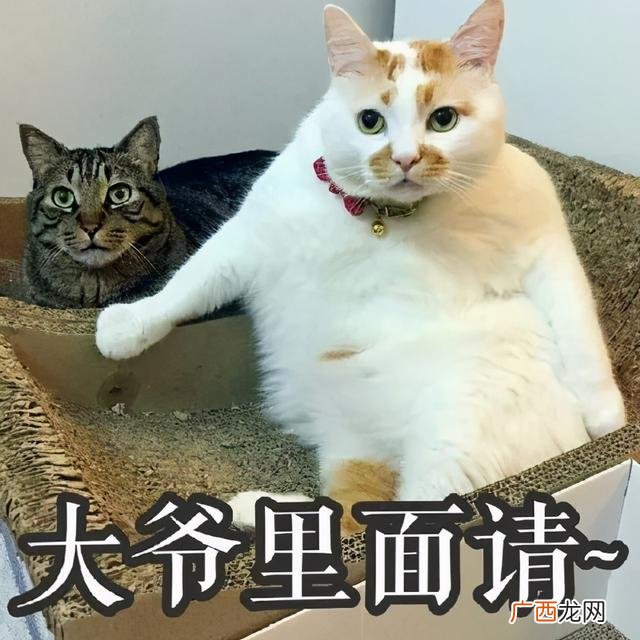 外卖自提柜担忧 智能外卖柜创业
