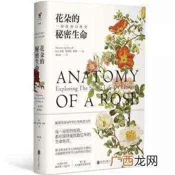 创业思维导图模板,创业史思维导图