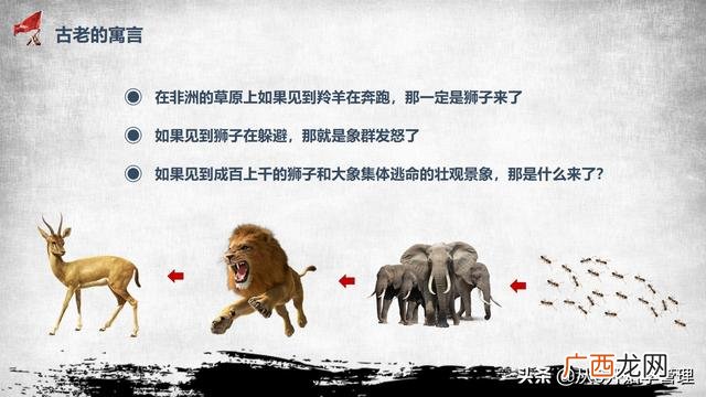 团队与群体的区别 创业团队和一般的群体