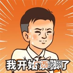 初会计初级考试时间 初级会计证报名时间2021一年考几次