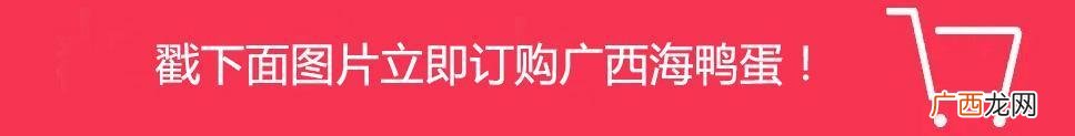 央视推荐广西红树林海鸭蛋,海鸭蛋创业