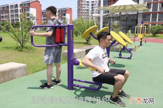 体育健身器材图片大全 公园运动器材图片及名称