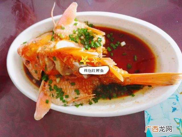 婺源旅游,婺源创业网