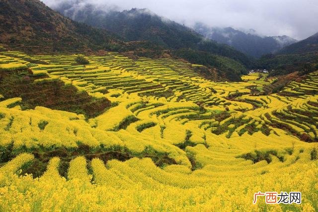 婺源旅游,婺源创业网